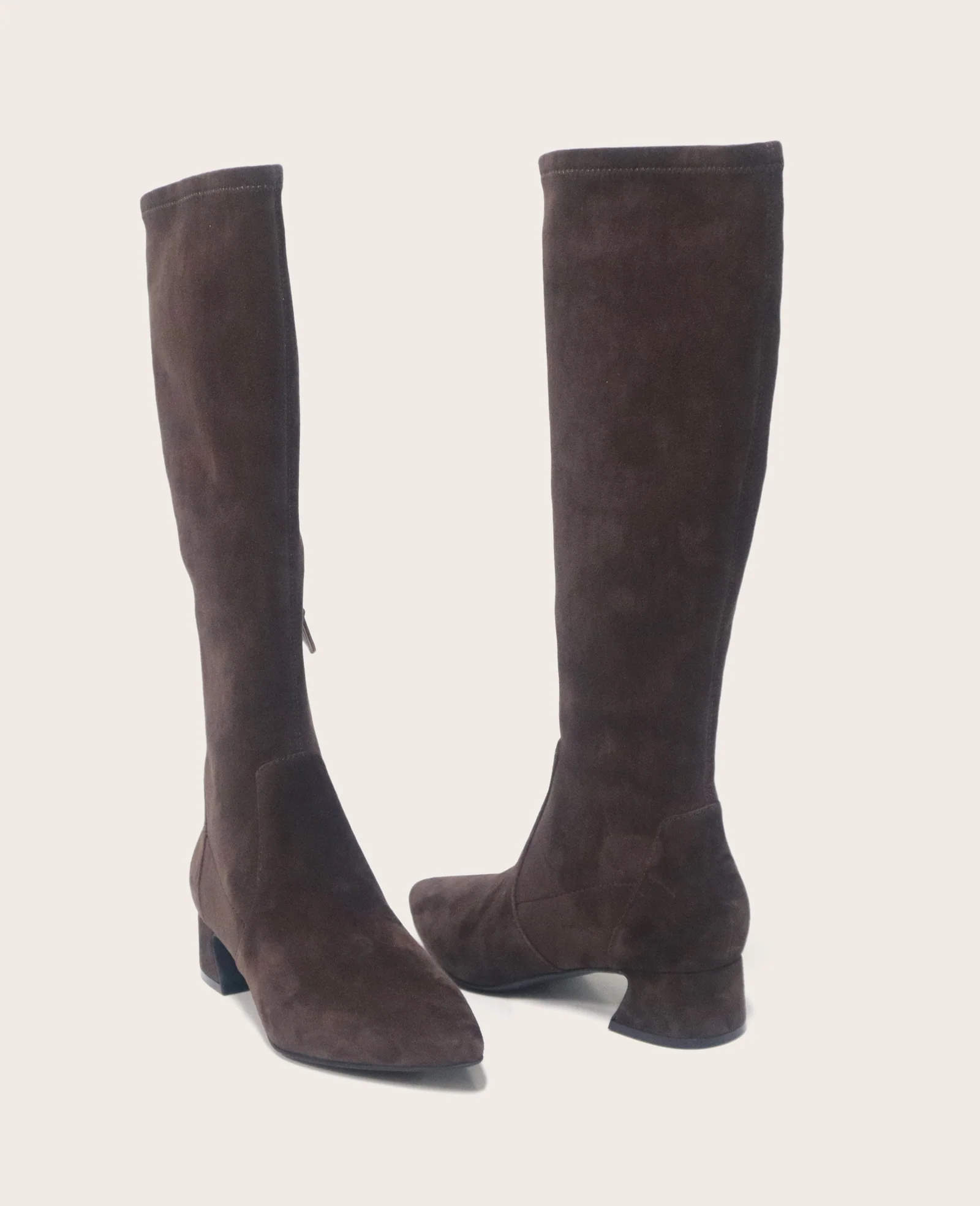 GENTLE SOULS - Gallway Micro Suede Tall Stretch Boot - Image 2