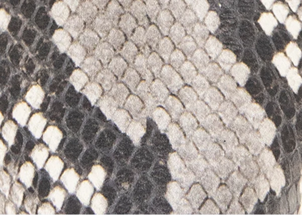 GENTLE SOULS - Georgia Snake Slingback Heel - Image 7