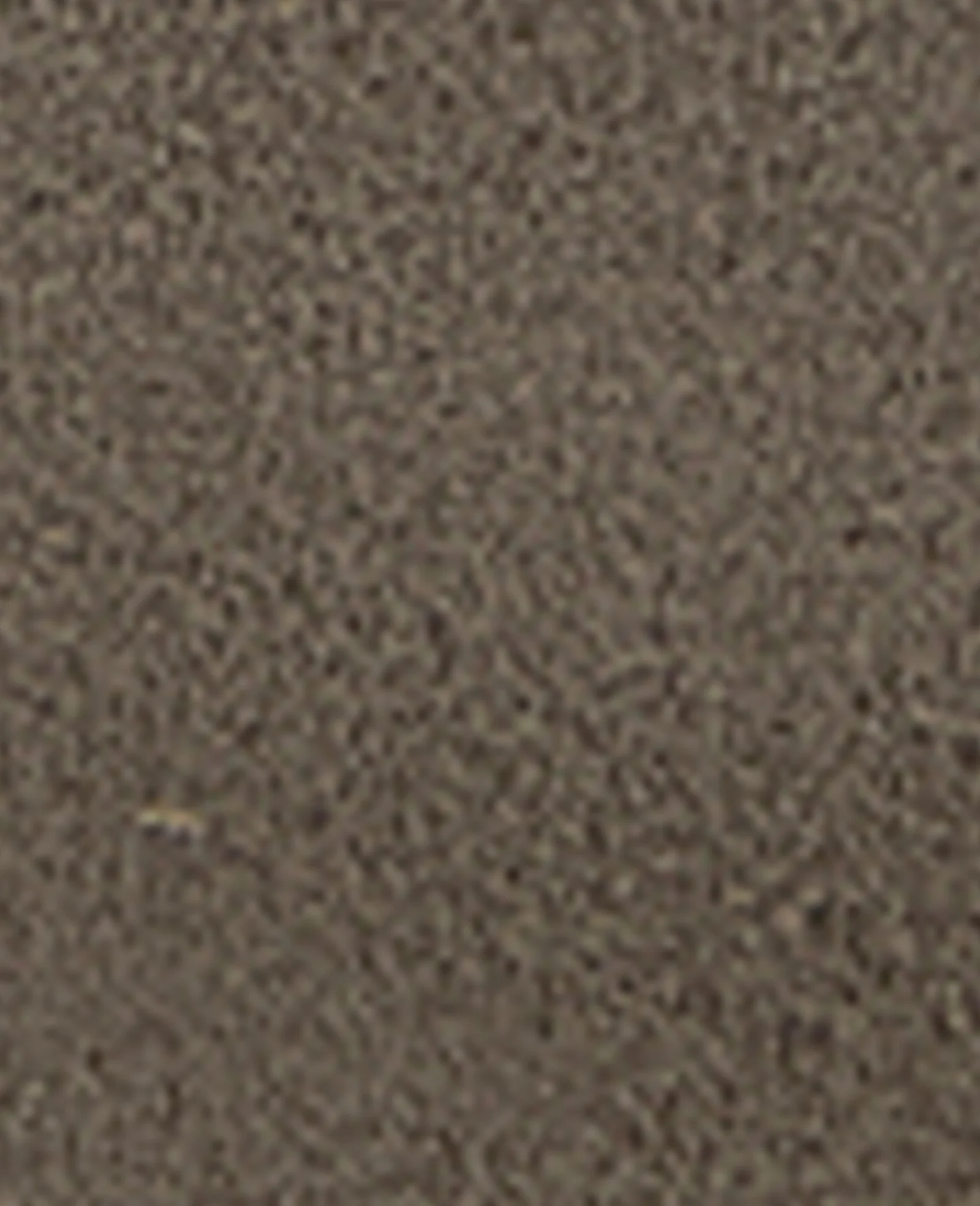 GENTLE SOULS - Hanette Suede Flat - Image 8