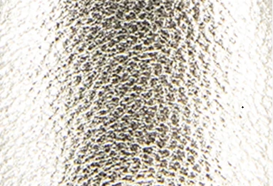 GENTLE SOULS - Sienna Metallic Fish Net Mary Jane Espadrille - Image 8