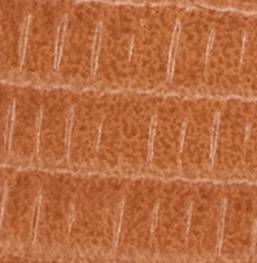 Paros Embossed Lizard Sandal - Image 6