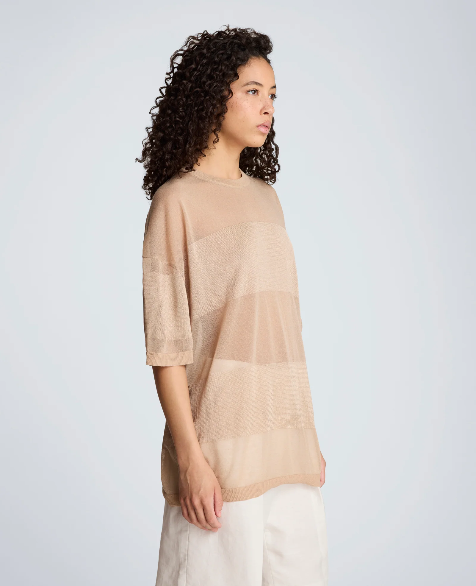Shiny Semi Sheer Stripe Crew Neck - Image 6
