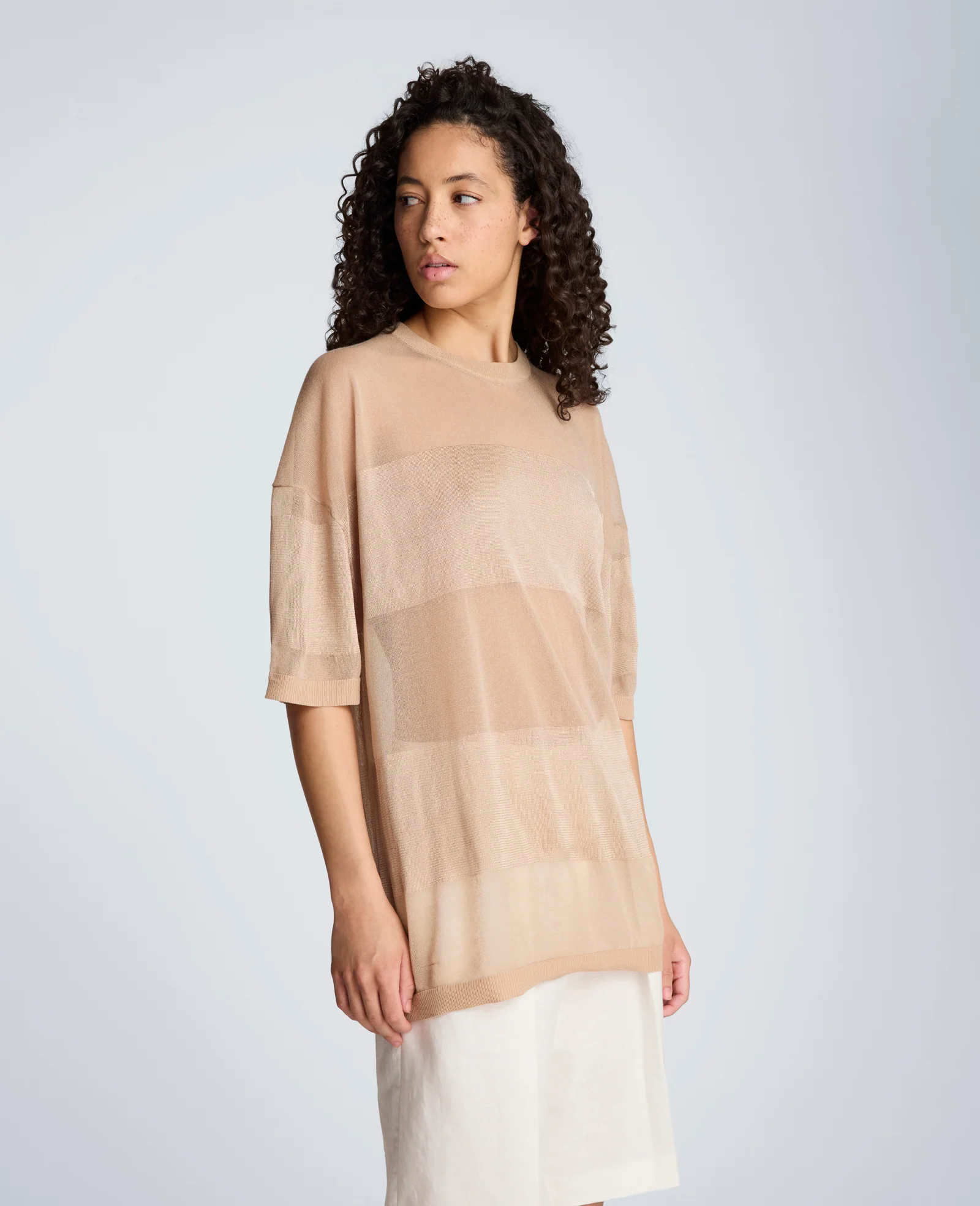 Shiny Semi Sheer Stripe Crew Neck - Image 7